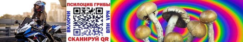 Псилоцибиновые грибы мухоморы  где купить   Усть-Джегута 