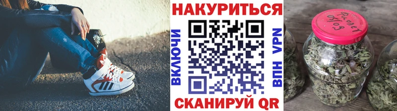 МЕГА ссылки  Усть-Джегута  Канабис индика 
